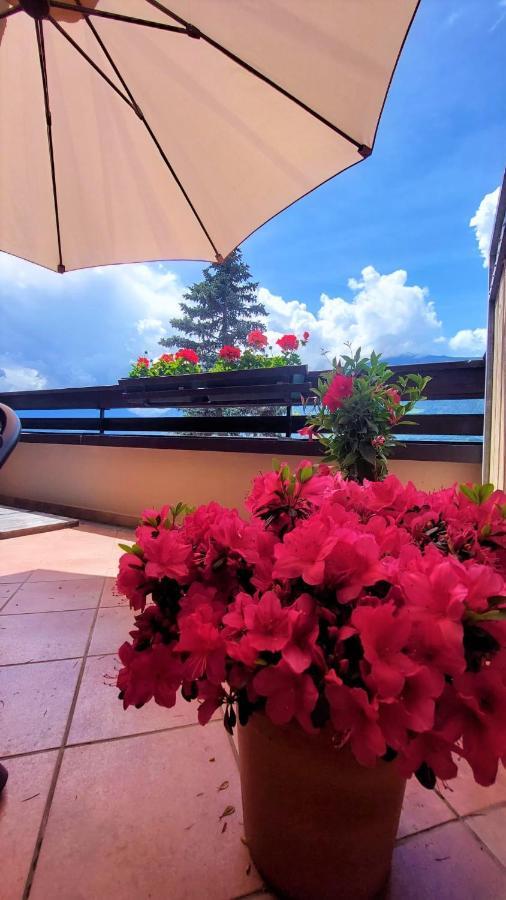 Nora S Home 4 - Panoramic Terrace & Bio Garden Meran Exterior foto